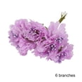 thumbnail image 2 of VONKY Plastic Flower Heads Handmade DIY artificial Simulation Bouquet Stamen for Wedding Gift Decoration 6Pcs Type 6, 2 of 6