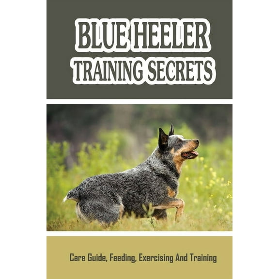 Blue Heeler Training Secrets: Care Guide, Feeding, Exercising And Training: Blue Heeler Breed Information (Paperback)