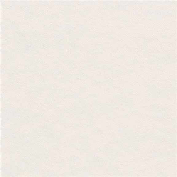 Liz Jordan-Hill White Velvet Stain Resistant Upholstery Fabric by the Yard With Aquaclean Technology, Pet Friendly, Bellagio Polar 001