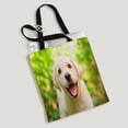 thumbnail image 1 of EREHome Sac en Toile à Pois Réutilisable Sac de Courses 14 Pouces(L) x 16 Pouces(H), 1 of 1