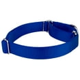 thumbnail image 6 of Country Brook Petz® Martingale Nylon Collar/Double Handle Leash - Royal Blue - Extra Large, 6 of 7
