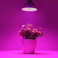 thumbnail image 2 of Brighten Your Indoor Garden With Our Full Spectrum LED Plant Bulb, Designed To Enhance Seedling Development And Flowering, Enjoy Safe And Reliable Lighting For Healthy Plant, 2 of 5