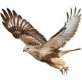 thumbnail image 1 of 23cm x 18.5cm Flying Eagle Sticker,3D Eagle Animal Car Sticker,2 Pack Waterproof Automobile Creative Decal Sticker Decoration Accessories for Wall Wi, 1 of 5