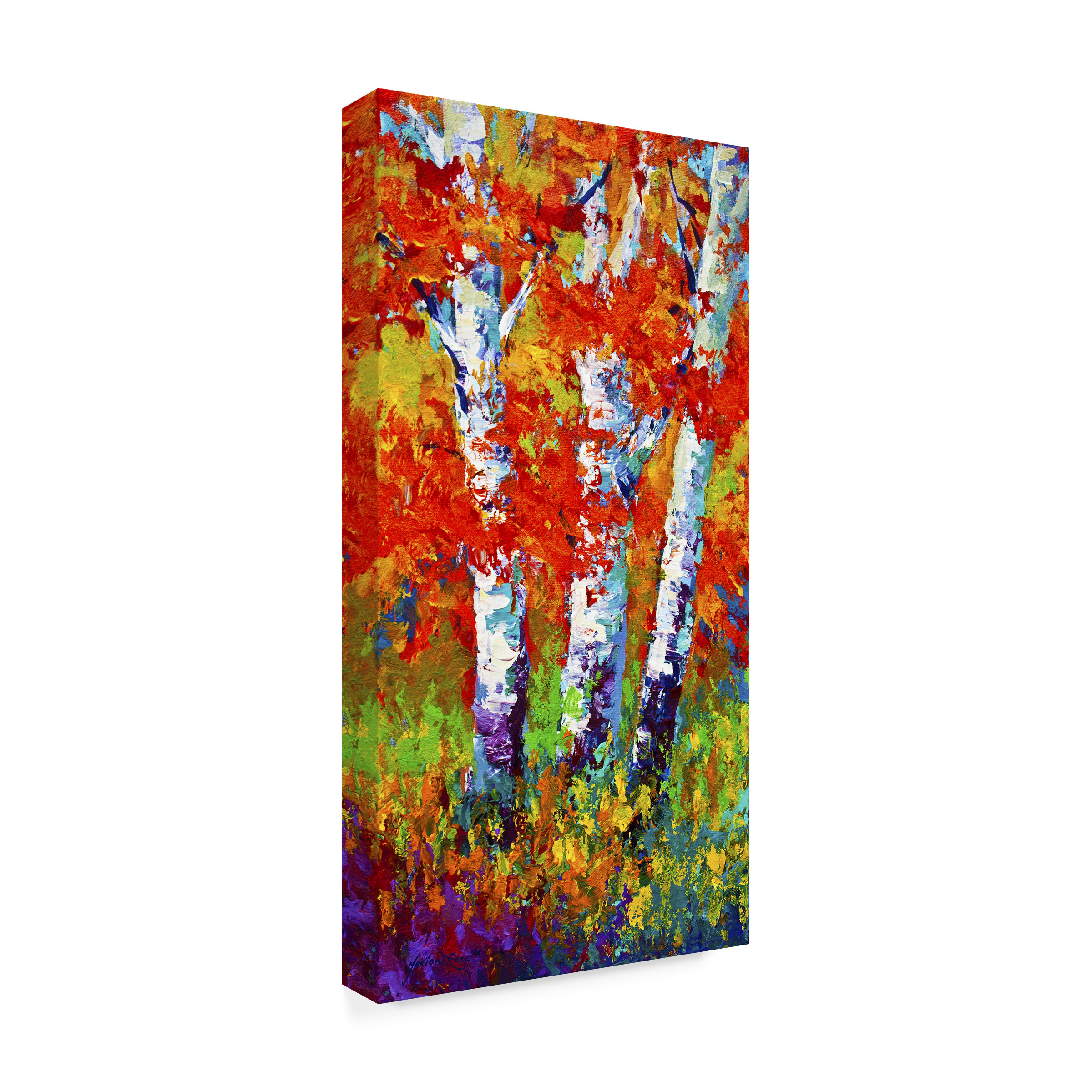 Trademark Fine Art Marion Rose Birch Three Canvas Wall Art - 24x47