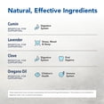 thumbnail image 3 of OregaSpray Aromatic Wild Spice Multi Purpose Spray, 4 Oz, 3 of 7