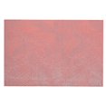 thumbnail image 1 of Vinyl Placemat (Tropics) (Orange)(Set Of 12), 1 of 1