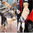 thumbnail image 2 of Dog Lifting Harness, Dog Support Harness For Back Legs, Soft Dog Support Sling For Injured Disabled Dogs, 2 of 5
