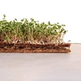 thumbnail image 3 of Envelor Coco Coir Fiber Grow Mat for Microgreens 9 x 9 Inches Coconut Coir Seed Starter Liner for Growing Trays, Hanging Baskets, Seed Starter Tray, Planter Sheets & Indoor Outdoor Plants, 20 Pack, 3 of 4