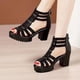 thumbnail image 1 of Envío gratis tacones altos sandalias de gladiador mujer cabeza abierta sexy remache bloque tacón plataforma zapatos verano espalda cremallera tamaño 35-40 sandalias de mujer, 1 of 3
