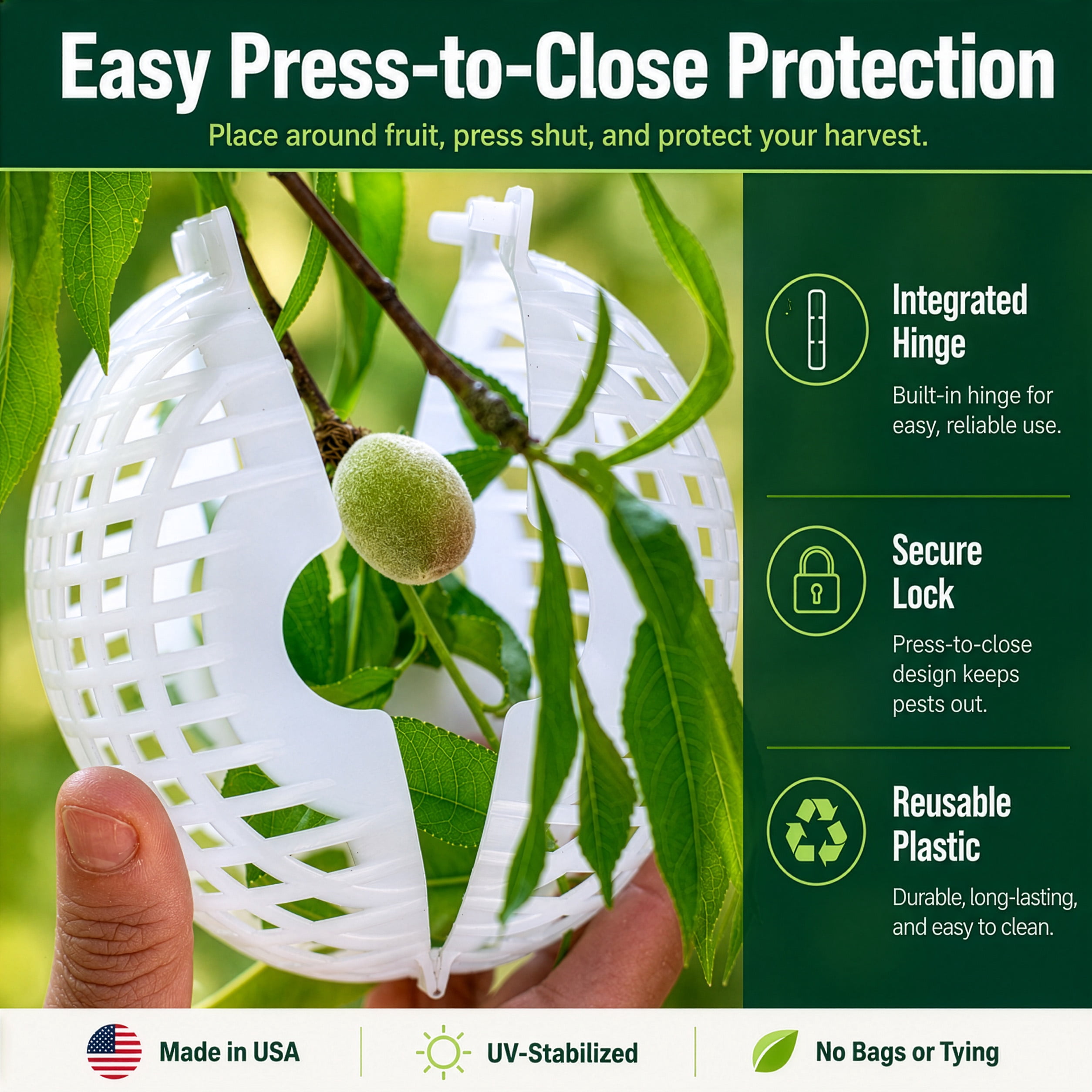 Rooted Promise 12 Pack Small Fruit Protection Cages 4 x 5 inch, Perfect for protecting fruit trees - Made in the USA