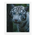 thumbnail image 5 of Paint by Numbers Kit for Adults, White Tiger Blue Eyes Nature Scene Paint by Numbers, Easy Paint by Numbers Kit for Adults Beginner, DIY Adult Paint by Number Kits on Canvas, Home Decor, 5 of 7