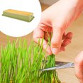 thumbnail image 3 of OULII Cat Grass Cultivation Box Indoor Planting Plastic 1Pack, 3 of 6