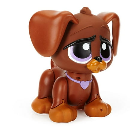 swim to me puppy walmart other rescue pets swim to me puppy lifeguard walmart swim to me puppy walmart other rescue pets swim to me puppy lifeguard walmart