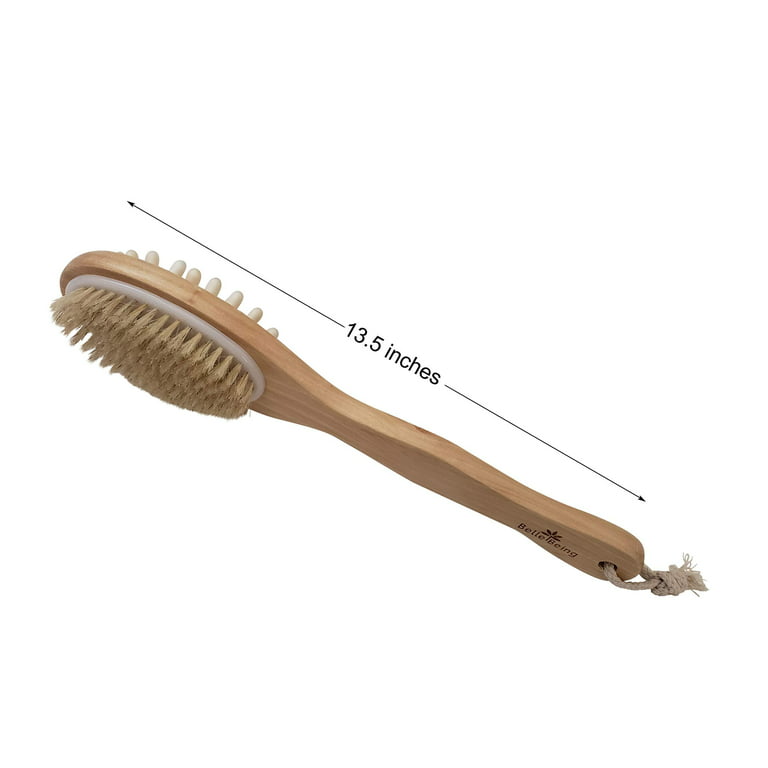 Premium Dry Brushing Body Brush Set - Dry brush for cellulite and  lymphatic, Natural Boar Bristles & Long Handle Back Scrubber, Bath & Shower  Brush, Face Exfoliating, SPA Massage kit, for A