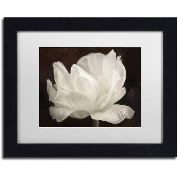 Trademark Fine Art 'White Tulip III' Canvas Art by Cora Niele, White Matte, Black Frame