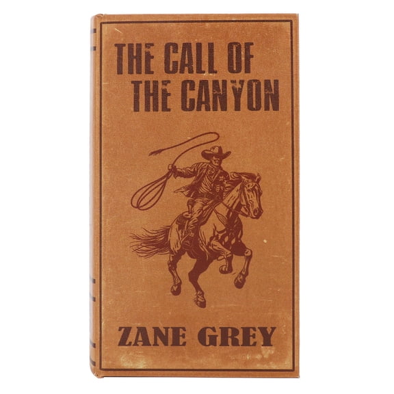 Medium Brown Call of the Canyon Book Box by Ashland  - Spring Home Decor