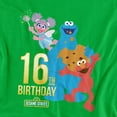 thumbnail image 2 of Sesame Street T-Shirt 16Th Birthday Unisex Graphic Tee For Men & Women, 2 of 7