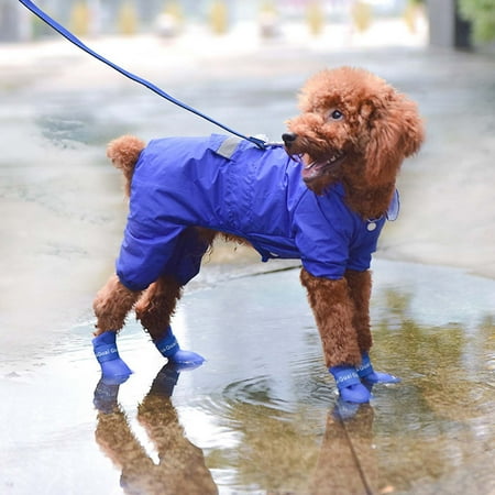 Clearance & Promo  Anti-Slip Dog Rain Boots - Waterproof Pet Shoes with Traction Sole  Protective Footwear for Wet Conditions in Multiple Sizes Seasonal Savings | Silica Gel  Blue  Blaxill