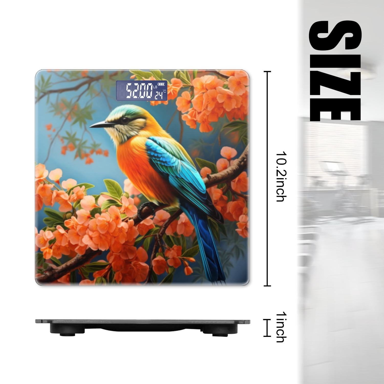Bathroom Scale, Highly Accurate Digital Body Scale,Precisely Measures Weight up to 400 lbs-Beautiful Bird With Vibrant Feathers Perched On Orange Tree Branch