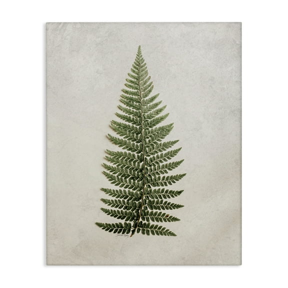 Stupell Industries Detailed Fern Leaf Botanical & Floral Painting Gallery Wrapped Canvas Art Print Wall Art, 36 x 48
