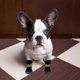thumbnail image 5 of 8 Pieces Anti Slip Dog Socks Non-slip Dog Socks With Adjustable Strap, 5 of 5