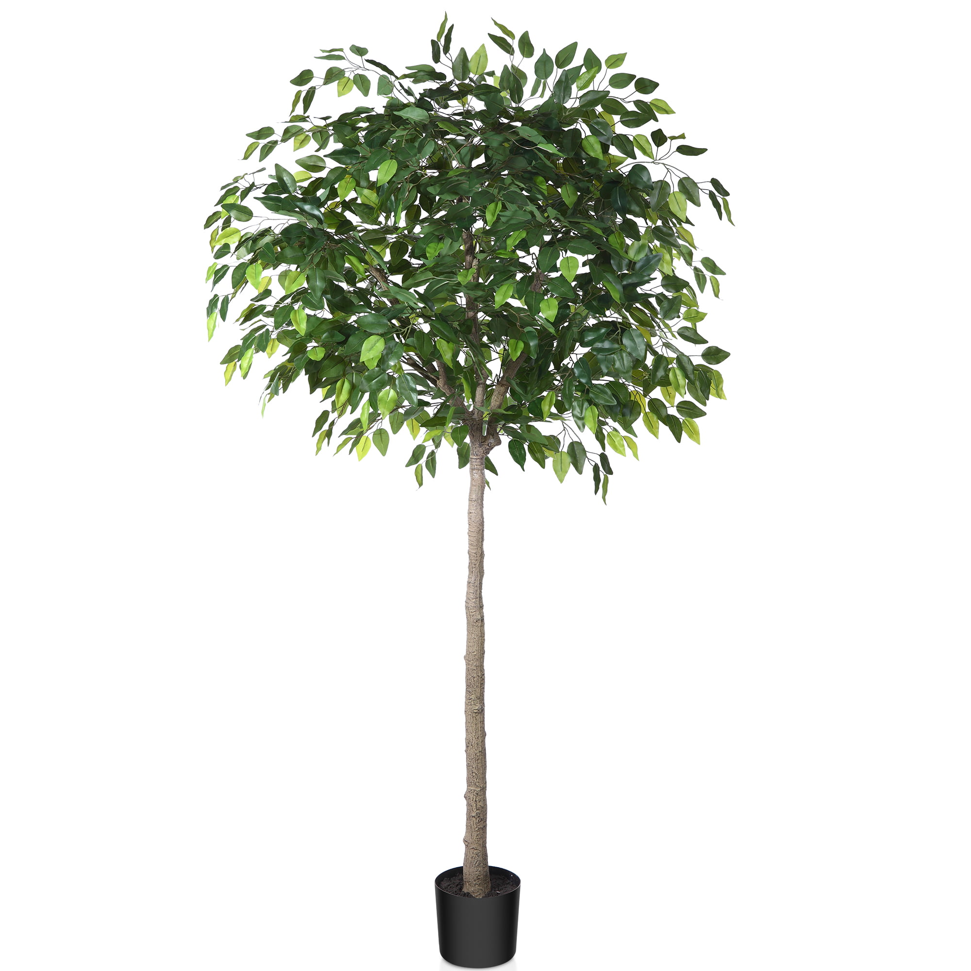 2 Pack Artificial Ficus Silk Tree, 5 FT Faux Plastic Ficus Plant in Pot with Durable Plastic Trunk, Fake for Home Decor Office House Living Room Indoor Outdoor - Walmart.com