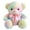 A, variant on A Rainbow Plush Bear Stuffed Animal Toy 20 Inch Soft Hugging Doll Gift For Valentine'S Day Birthday Anniversary Cute Cuddly Friend Decorative Pillow