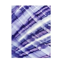 Trademark Fine Art Tara Mann  Purple Moon Canvas Wall Art