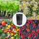 thumbnail image 2 of 20 Pack Tall Tree Pots For Indoor & Outdoor Gardening - Premium Thickened Deep Nursery Planting Basin With Drainage Hole & Nutrition Cup - For Trees B, 2 of 5