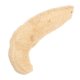 thumbnail image 1 of 1 esponja de baño de lufa natural, recipiente de cocina, trapo portátil, esponja de ducha corporal, estropajo, 1 of 5
