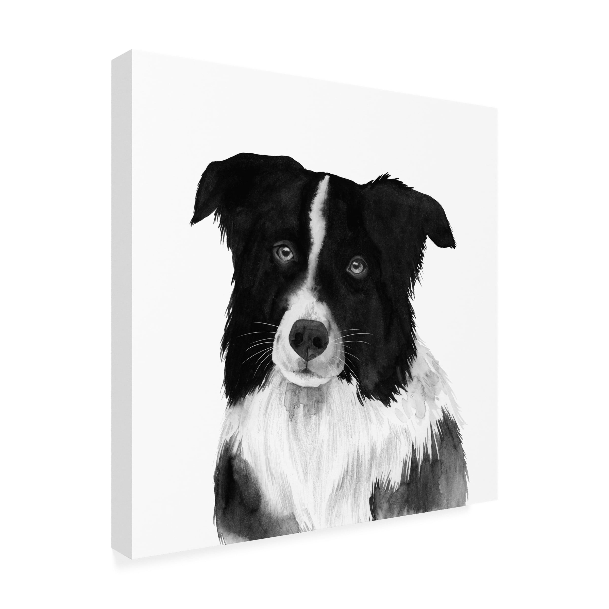 Grace Popp 'Border Collie II' Canvas Art