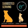 Dog Weight Gainer Weight Gain Supplements For Dogs Canine And Dog Muscle Builder Dog