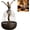 #2, variant on Ballet Water Fountain Bluetooth Speaker, Tabletop Dancing Water Speaker with LED Light, Wireless Audio Art Decor for Home Office