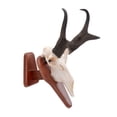 thumbnail image 3 of Allen Company Ez Skull Wood Mount Presentation Pedestal & Plaque, 13" x 6" x 7", Model 9022, 3 of 13