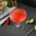 thumbnail image 5 of Thyme & Table 14oz Coupe Cocktail Glass, 5 of 5