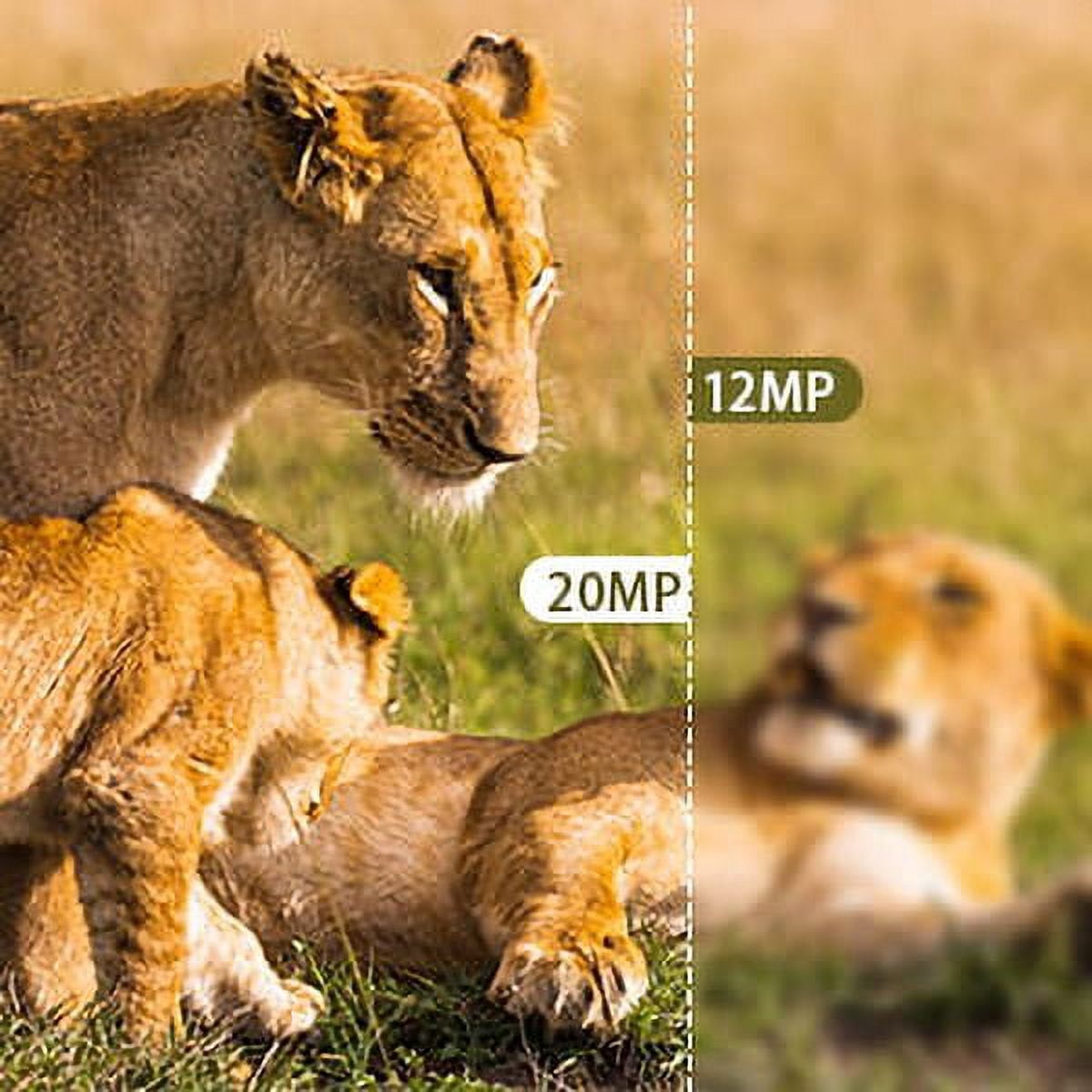 SuntekCam 20MP 1080P Mini Game Camera Trail Monitor with 32GB Micro SD, 2 Pack