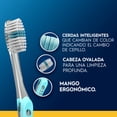 thumbnail image 2 of Cepillo de Dientes Oral-B Indicator con Cerdas Medias, 5 pzas, 2 of 5