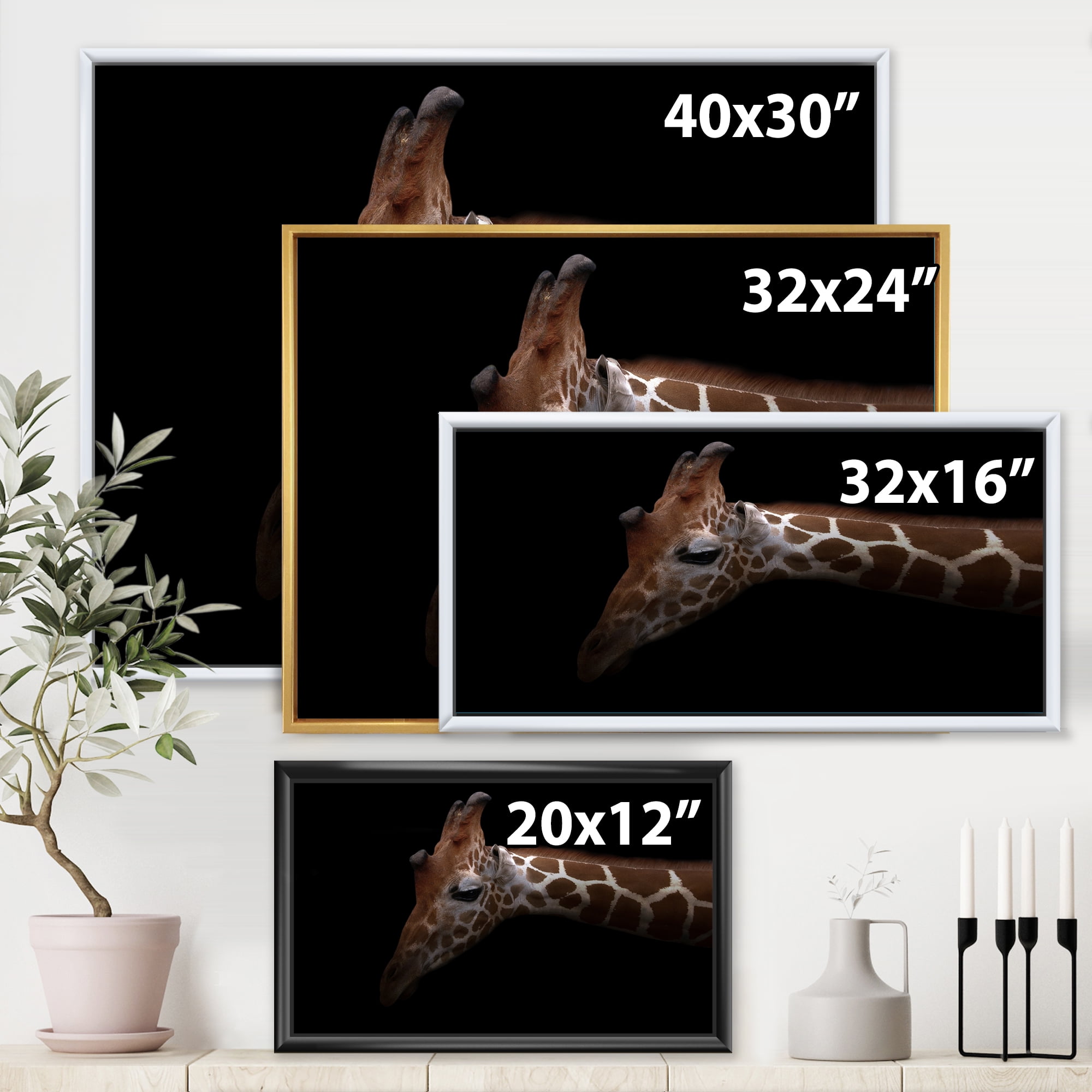 Close Up Portrait of A Giraffe VIII 20 in x 12 in Framed Photography Canvas Art Print, by Designart