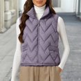 thumbnail image 2 of Kaondbfi Outerwear Vests for Women, Winter Lightweight Sleeveless Cotton Vest Jacket with Down Insulation Vest Womens Winter Coat, 2 of 4
