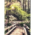 thumbnail image 2 of Amos, Andy 15x18 Gold Ornate Wood Framed with Double Matting Museum Art Print Titled - Sunlight on the Forest Path, 2 of 4