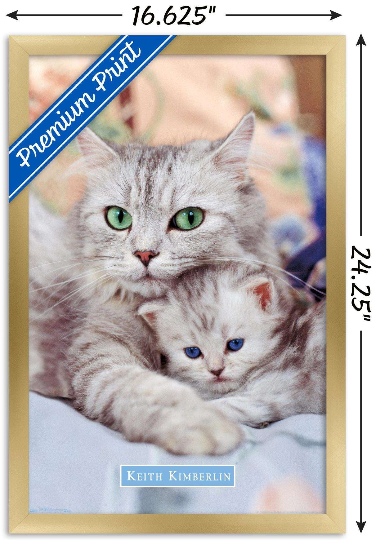 Keith Kimberlin - Momma and Kitten Wall Poster, 14.725" x 22.375", Framed