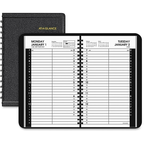 AtAGlance Daily Appointment Book