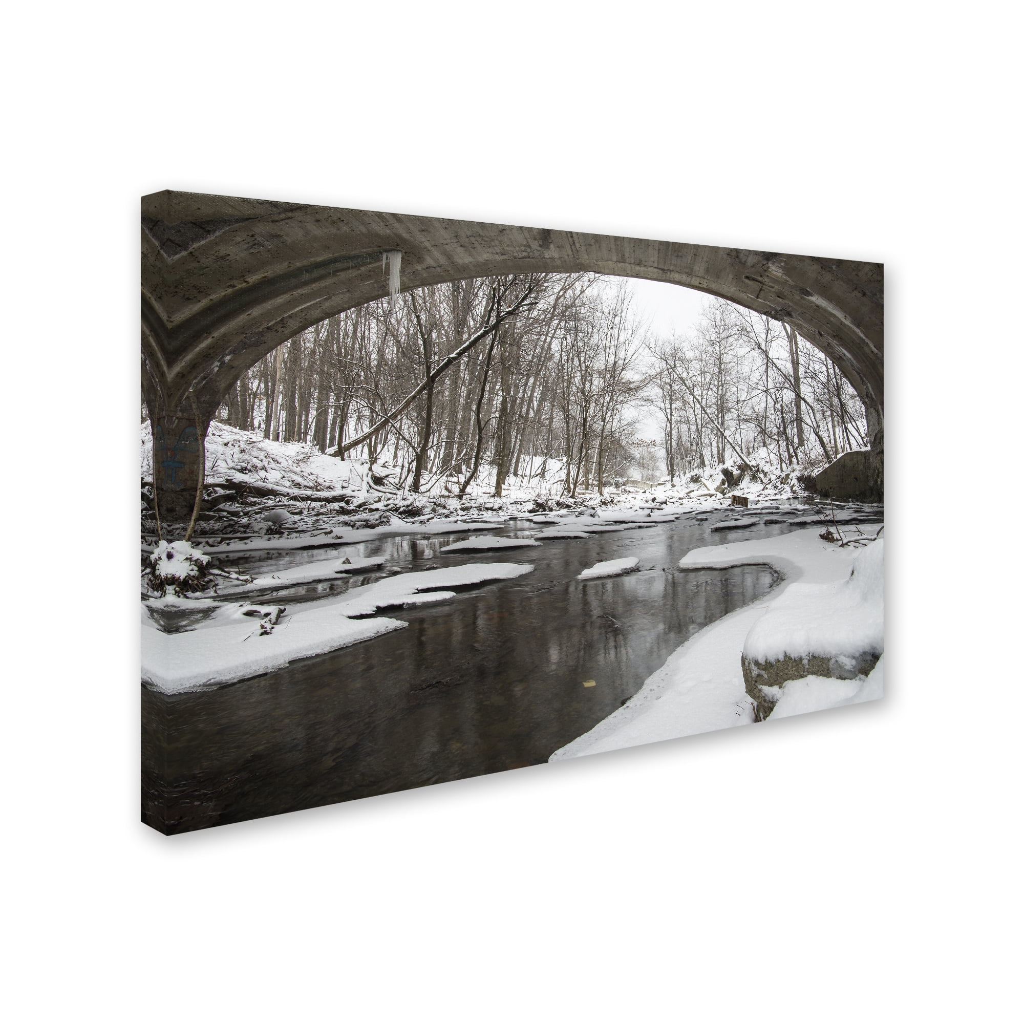 Trademark Fine Art 'Cold Flow' Canvas Art by Kurt Shaffer