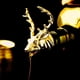 thumbnail image 3 of 3 Uds Aireadores de Aleación de Zinc Vertedor Tapón Vertedor de Botellas Cocina Accs, 3 of 9