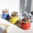 thumbnail image 3 of Cheers.US 3.3" x 3.1" Diameter Round Pink Ceramic Succulent Pots with Drainage Hole, 3 of 7