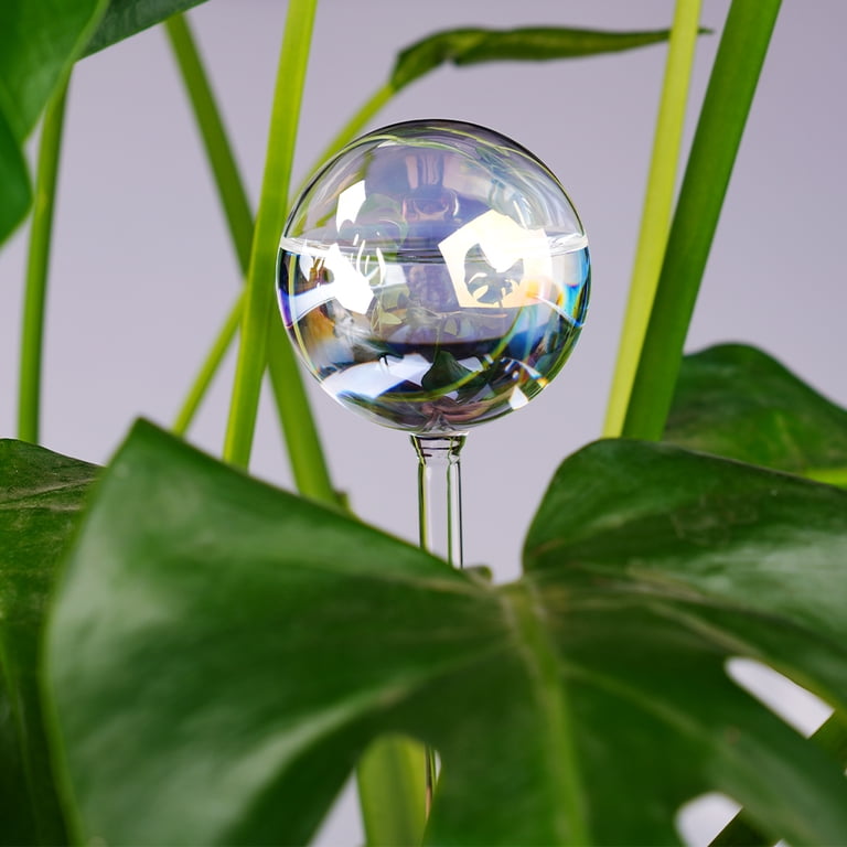 Tomorotec Self-Watering Glass Bulbs, 2-Pack photo 8