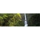Panoramic Images PPI124607L Cascade dans une Forêt Multnomah Chutes Columbia Rivière Gorge Portland Multnomah Comté Oregon USA Affiche Impression par Panoramic Images - 36 x 12 – image 1 sur 1