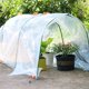 thumbnail image 2 of Matsuzay Película de PE para invernadero, sin olor, antipolvo, transparente, fácil de plegar, anticongelante para plantas Jardín y Patio 2 m x 6 m, 2 of 6