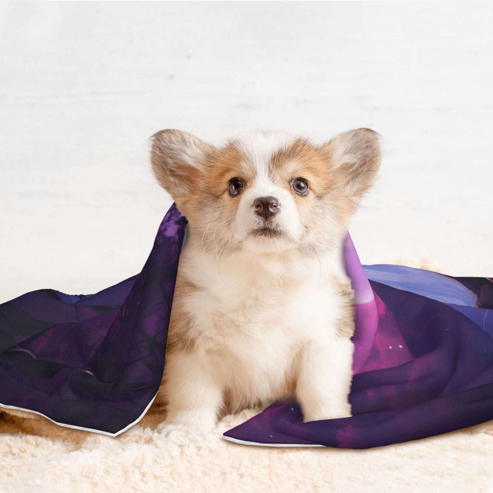 Naloa Purple Moon Tree Night Sky Dog Blanket, 3 Sizes Cat Blanket for Indoor Cats Large Medium Small Dog Gifts-Medium