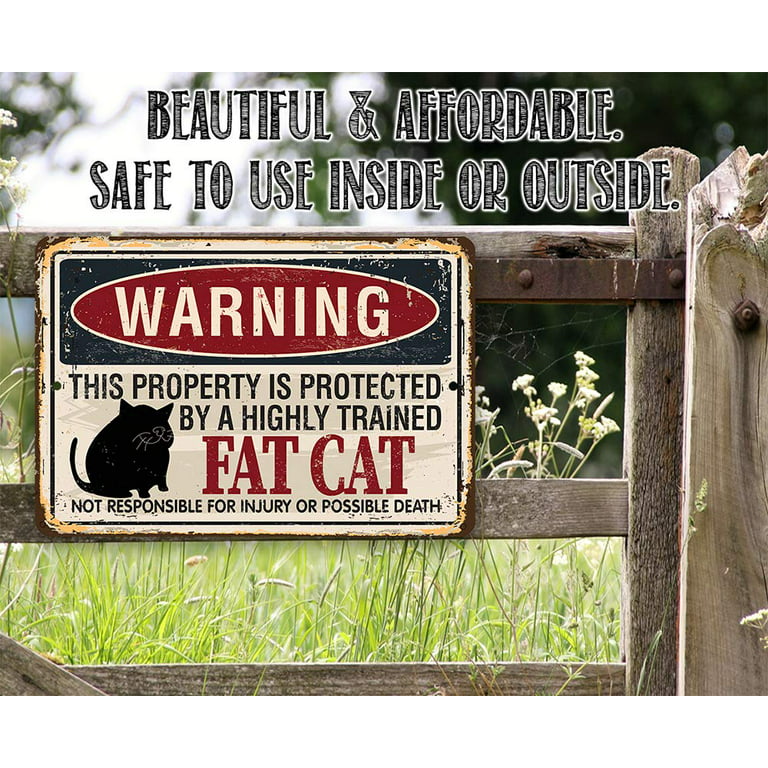 funny fat cat door